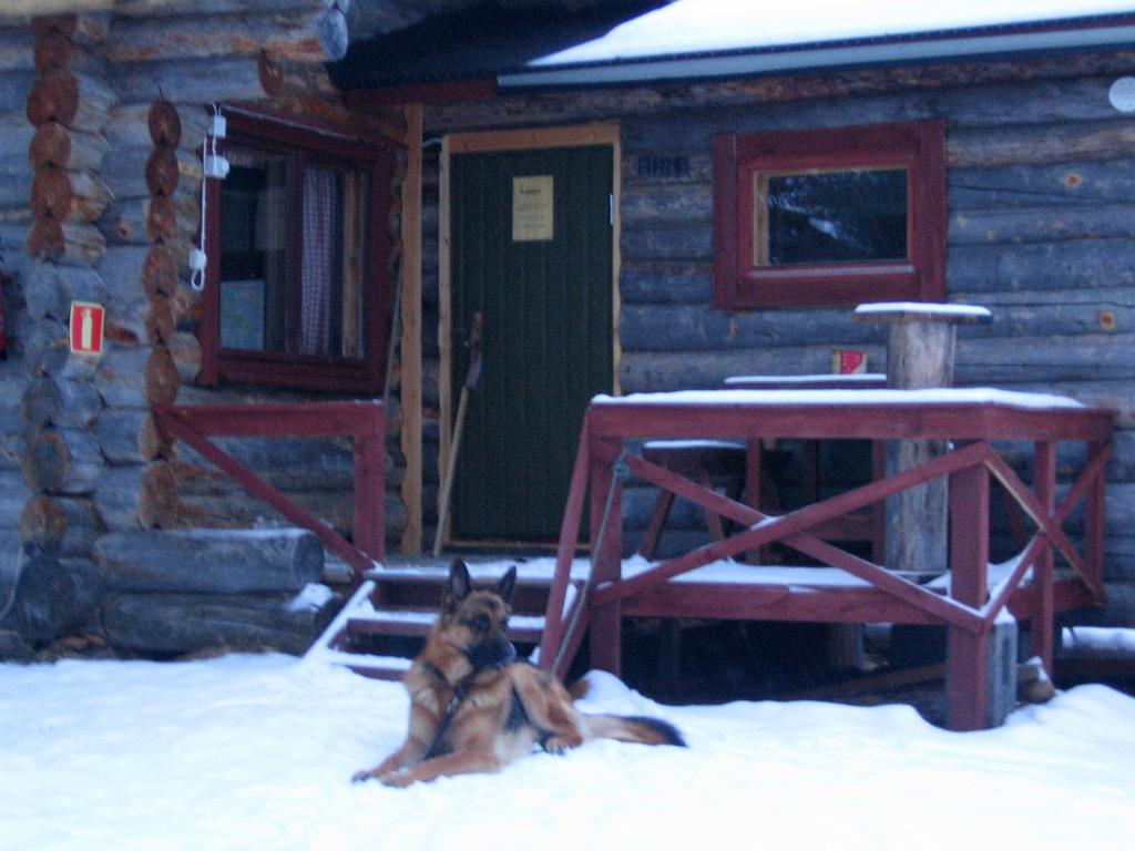Ahkun Tupa Villa Lemmenjoki Exteriör bild