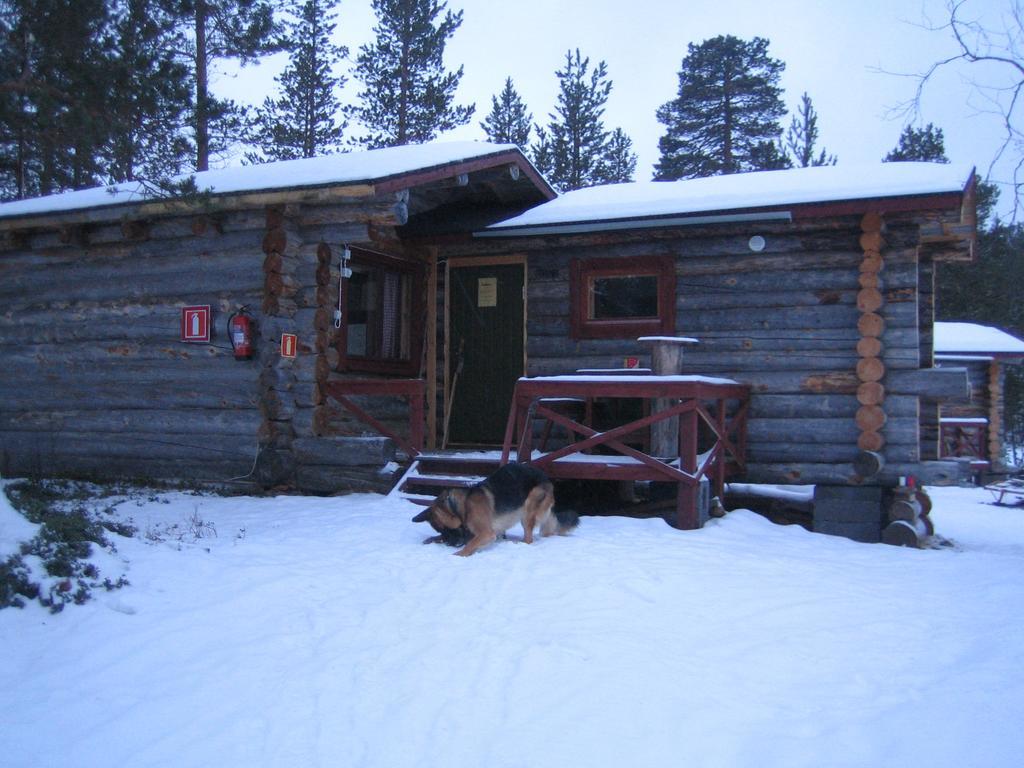 Ahkun Tupa Villa Lemmenjoki Exteriör bild